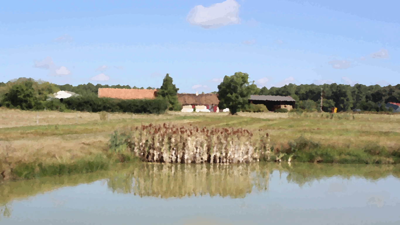 vue des gîtes et d'un étang du parc du Grand Villiers